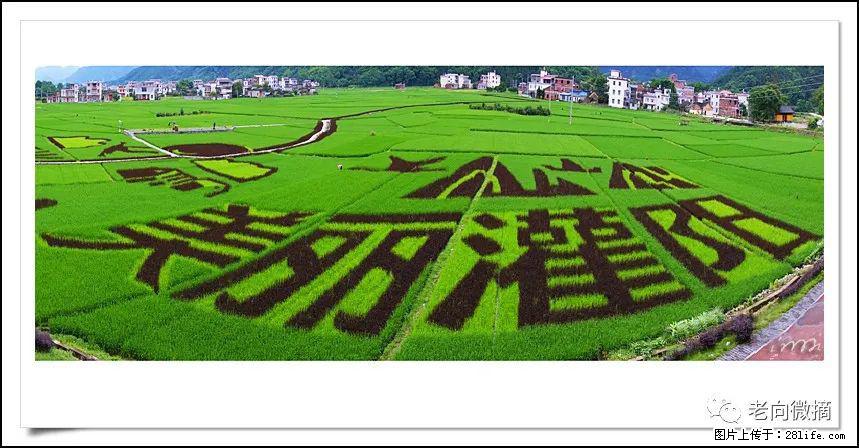 【春天，广西桂林灌阳县向您发出邀请！】开篇 - 游山玩水 - 忻州生活社区 - 忻州28生活网 xinzhou.28life.com