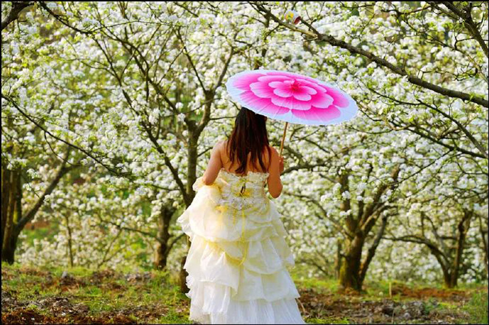 【春天,广西桂林灌阳县向您发出邀请!】我们在灌阳看梨花 - 游山玩水 - 忻州生活社区 - 忻州28生活网 xinzhou.28life.com