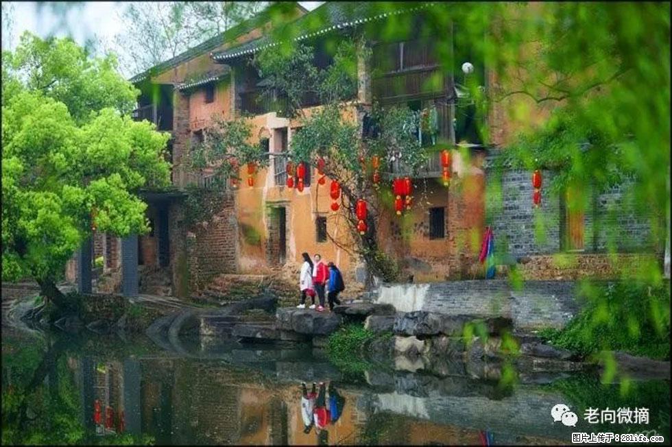 【春天,广西桂林灌阳县向您发出邀请!】江口老街又逢春 - 游山玩水 - 忻州生活社区 - 忻州28生活网 xinzhou.28life.com