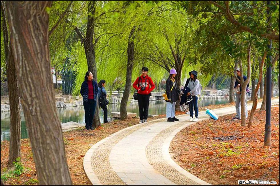 【春天,广西桂林灌阳县向您发出邀请!】江口老街又逢春 - 游山玩水 - 忻州生活社区 - 忻州28生活网 xinzhou.28life.com