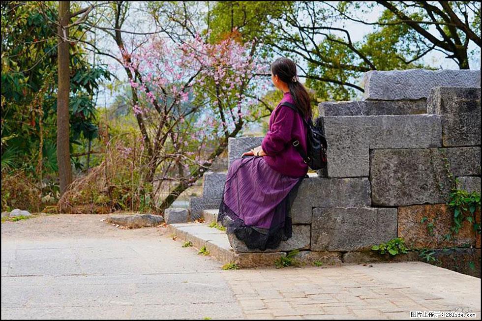 【春天,广西桂林灌阳县向您发出邀请!】江口老街又逢春 - 游山玩水 - 忻州生活社区 - 忻州28生活网 xinzhou.28life.com