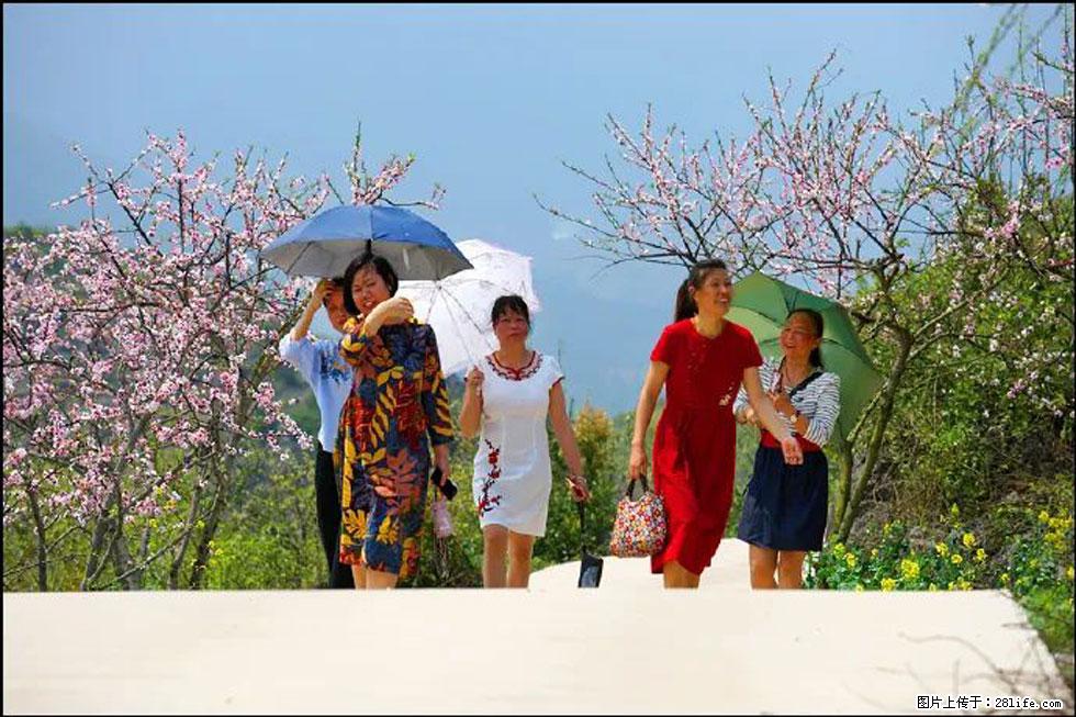 【春天,广西桂林灌阳县向您发出邀请!】望月岭上桃花开 - 游山玩水 - 忻州生活社区 - 忻州28生活网 xinzhou.28life.com