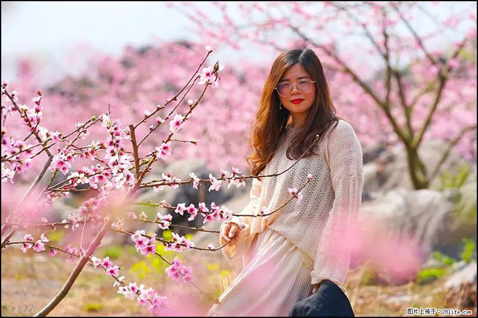 【春天,广西桂林灌阳县向您发出邀请!】望月岭上桃花开 - 游山玩水 - 忻州生活社区 - 忻州28生活网 xinzhou.28life.com