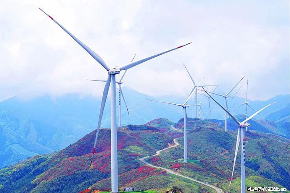 【春天,广西桂林灌阳县向您发出邀请!】春木界上映山红 - 游山玩水 - 忻州生活社区 - 忻州28生活网 xinzhou.28life.com