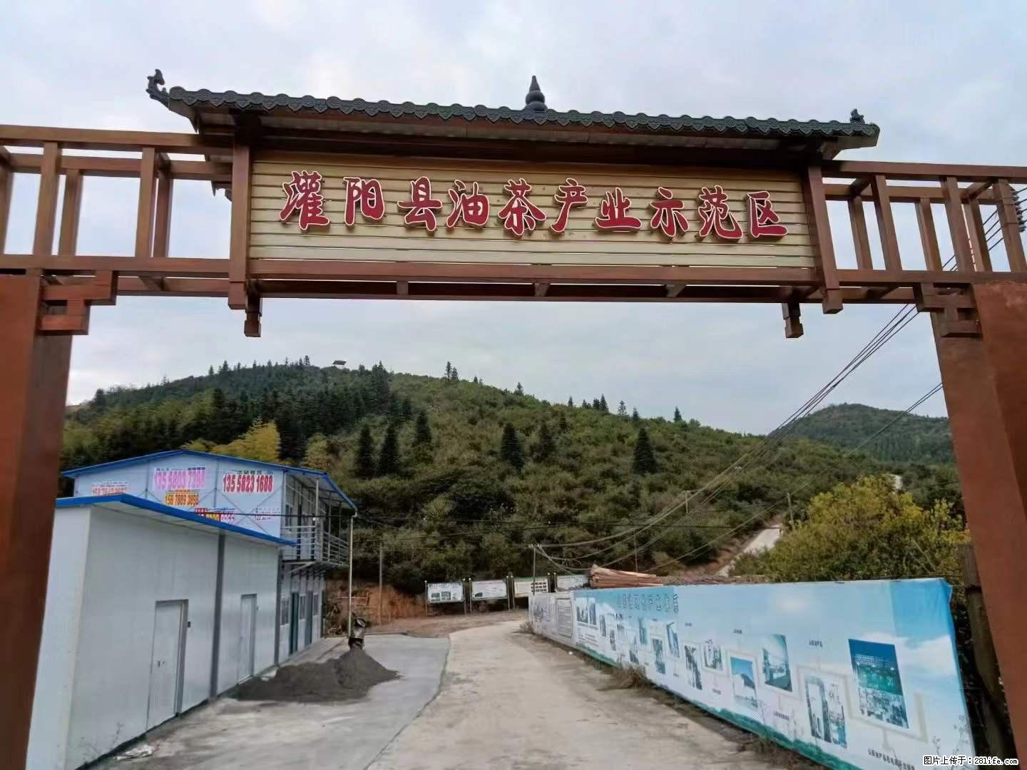 【灌阳县油茶产业示范区】一个有着充实的精神生活的人，对待身外之物自会有一种淡泊的态度 - 美食天地 - 忻州生活社区 - 忻州28生活网 xinzhou.28life.com