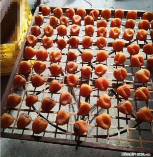 广西桂林平乐桥亭【柿饼之乡】2025年纯手工制作、无任何添加剂的第一批柿饼准备上市了，欢迎联系订购！ - 忻州28生活网 xinzhou.28life.com