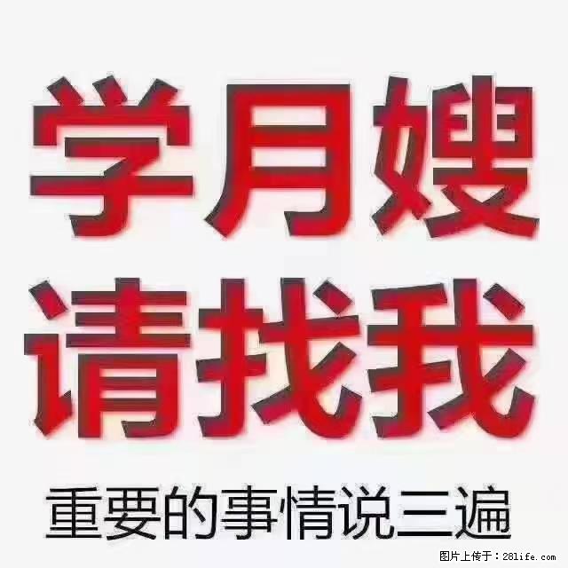 【招聘】月嫂，上海徐汇区 - 职场交流 - 忻州生活社区 - 忻州28生活网 xinzhou.28life.com