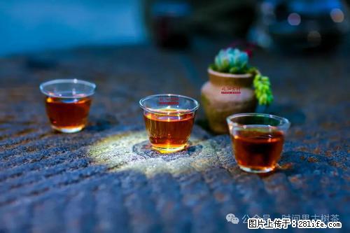 时间果百年古树2025年春红茶 - 购物交流 - 忻州生活社区 - 忻州28生活网 xinzhou.28life.com