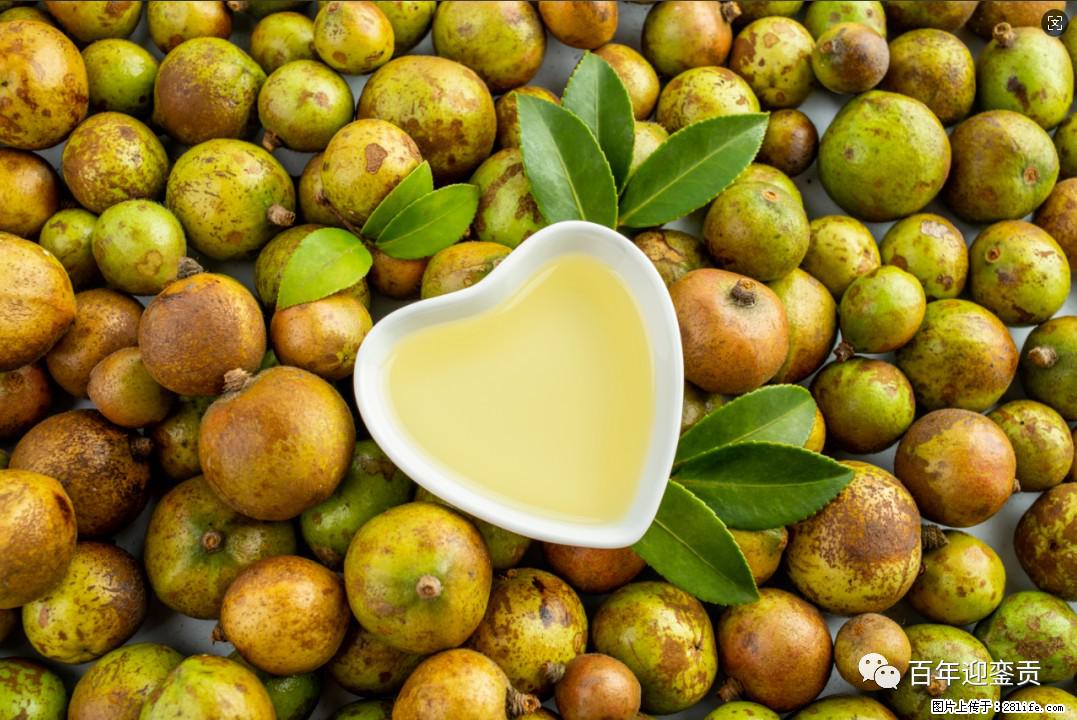 世界没有真相，只有认知，最好的食用油是中国的山茶油！ - 忻州生活资讯 - 忻州28生活网 xinzhou.28life.com