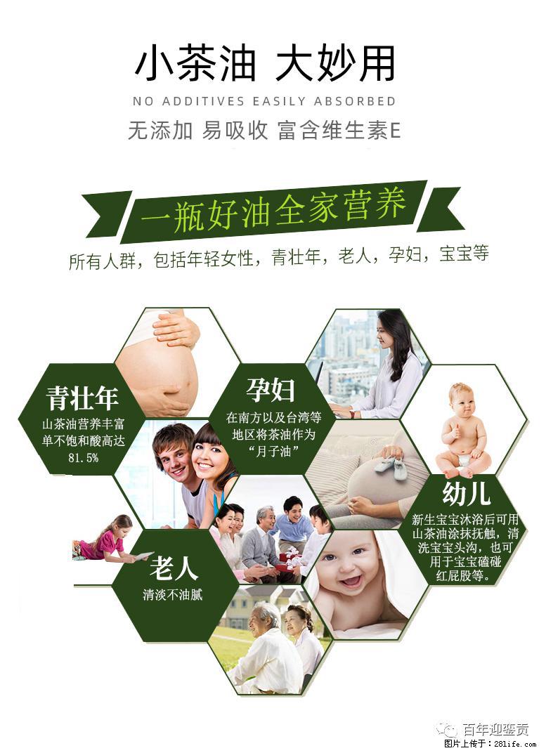 世界没有真相，只有认知，最好的食用油是中国的山茶油！ - 忻州生活资讯 - 忻州28生活网 xinzhou.28life.com