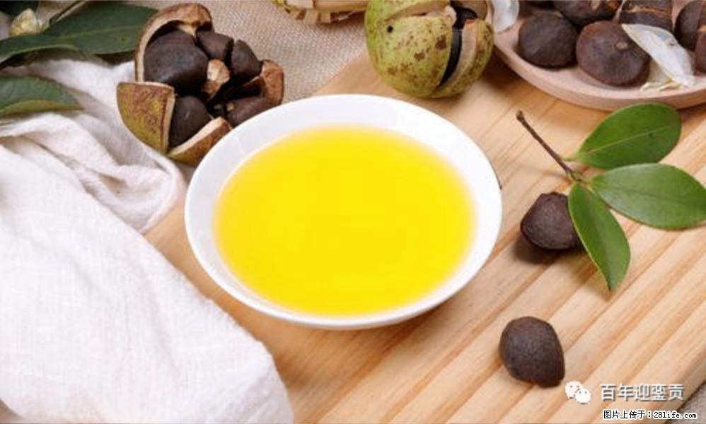 世界没有真相，只有认知，最好的食用油是中国的山茶油！ - 忻州生活资讯 - 忻州28生活网 xinzhou.28life.com