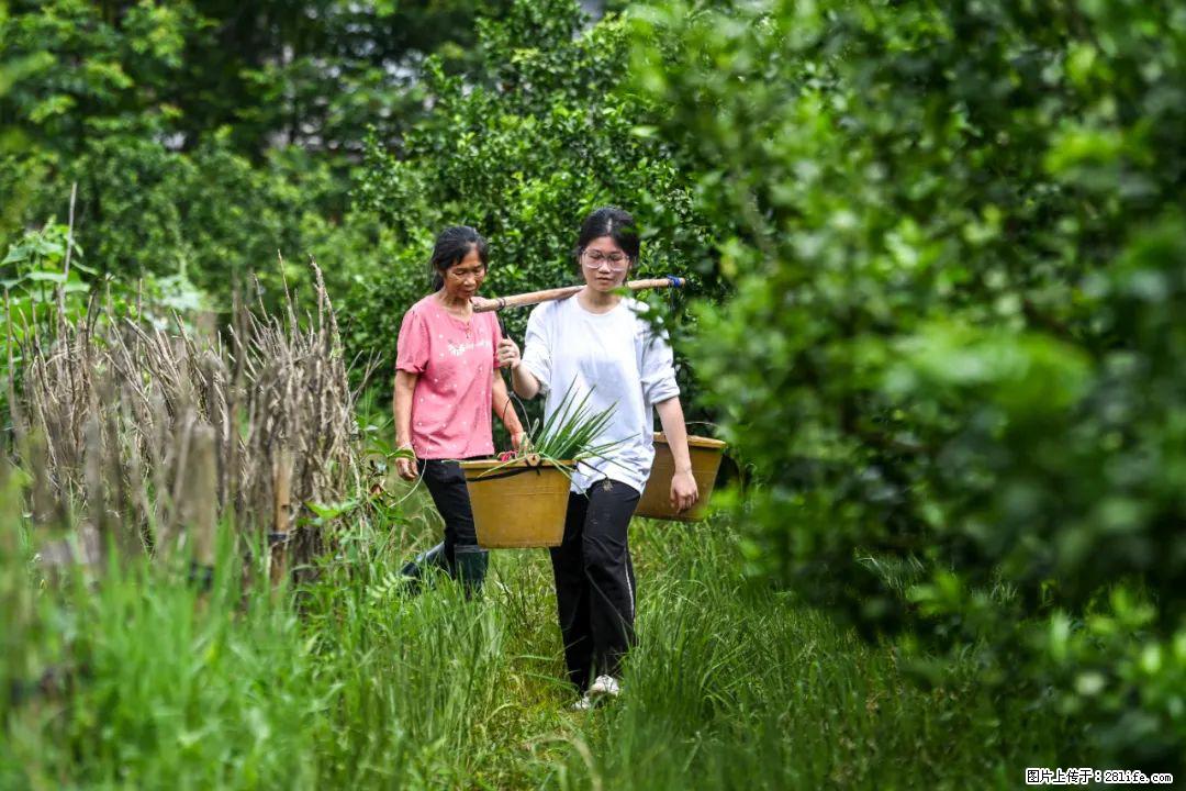 全网追的“扁担女孩”，找了一份暑假工，时薪12元 - 忻州生活资讯 - 忻州28生活网 xinzhou.28life.com