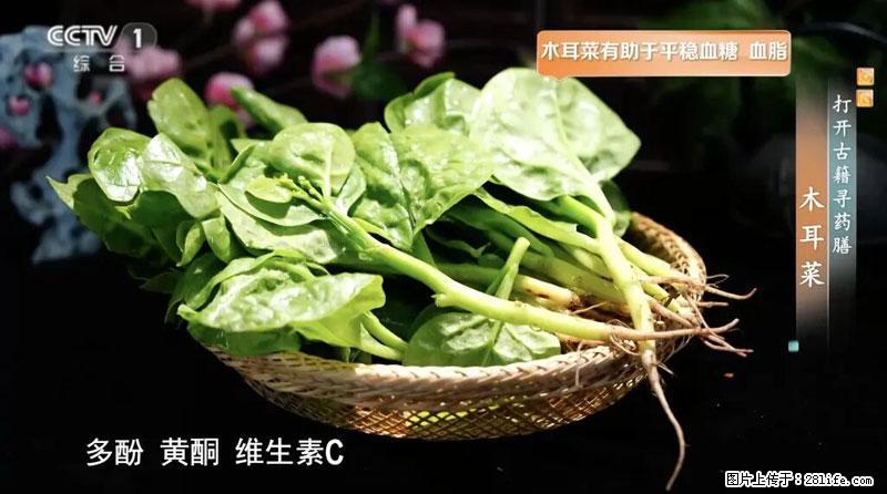 比牛奶补钙还厉害!凉血解毒、稳血糖...这菜冬天必吃,很多人却当草 - 忻州生活资讯 - 忻州28生活网 xinzhou.28life.com